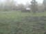 Webcam in Arcata,United States