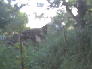 Security webcam