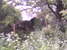 Webcam in United Kingdom