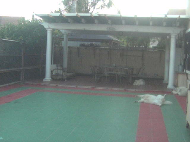 Webcam in United States