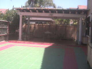Dog Daycare