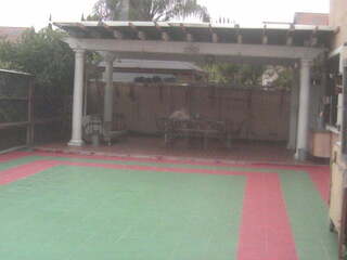 Dog Daycare