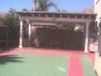 Dog Daycare