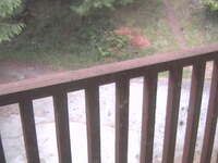 Security webcam