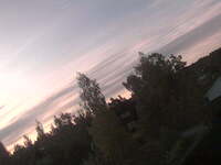 Neighborhood