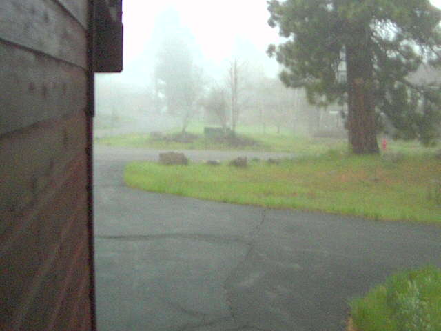 Webcam in Arcata,United States