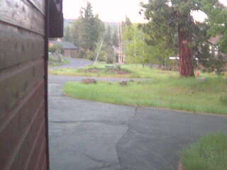 Neighborhood