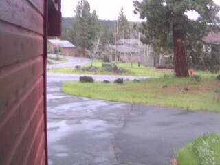 Webcam in Arcata,United States