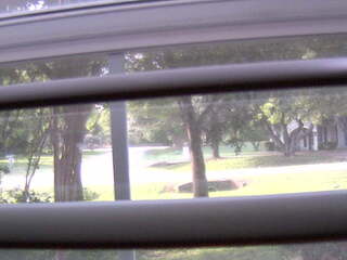 Front Yard view