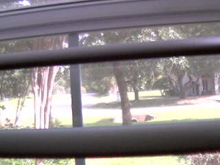 Webcam in Aubrey,United States