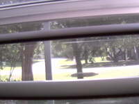 Front Yard view