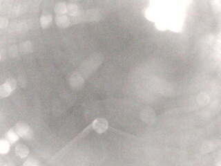 Security webcam