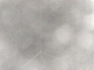 Webcam in Russia