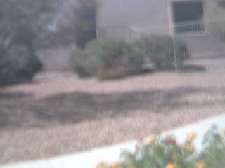 Webcam in Saint Augustine,United States