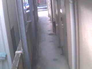 Security webcam