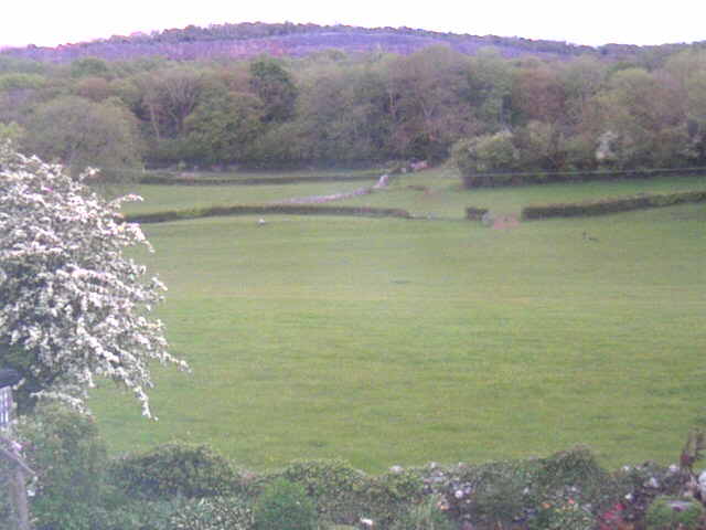 Webcam in United Kingdom