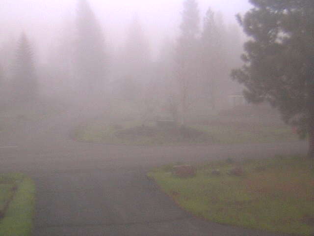 Webcam in Arcata,United States