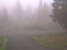 Webcam in Arcata,United States