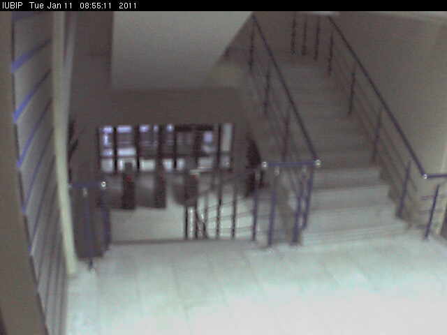 Institute of Management Business and Law