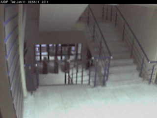 Institute of Management Business and Law