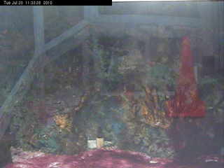  BioTrek at Cal Poly Pomona - ABLC Webcams