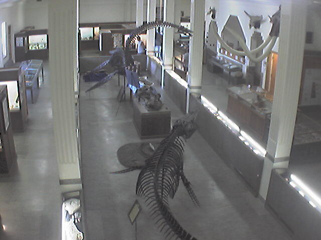 South Dakota School of Mines & Technology