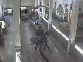 South Dakota School of Mines & Technology