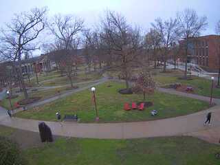 Indiana University of Pennsylvania - Grove Cam