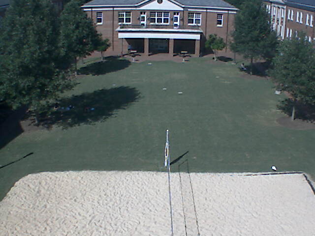 The Quad
