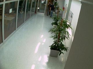 Hall Cam