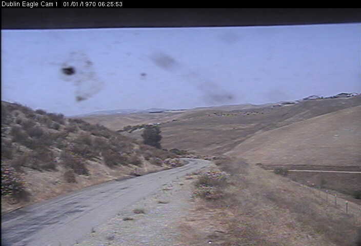Eagle Cam