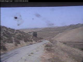 Eagle Cam