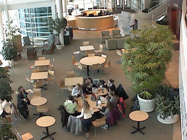Grand Valley State University - CHS Indoor Plaza