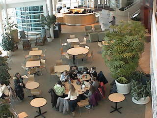 Grand Valley State University - CHS Indoor Plaza