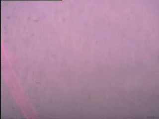 Weather Cam