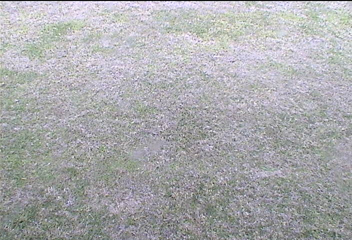 Webcam in Toowoomba,Australia