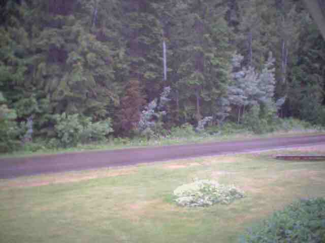 Sicamous Security Cam (Webcam Offline)