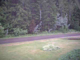 Sicamous Security Cam (Webcam Offline)