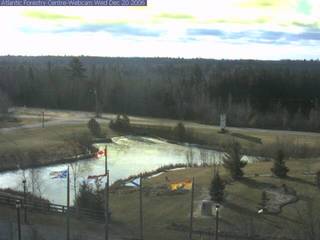 Atlantic Forestry Centre (Webcam Offline)