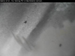 Ed Huck Marine - Yard Cam