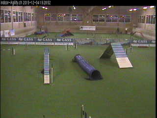 Indoor Agility Dog Training Centre