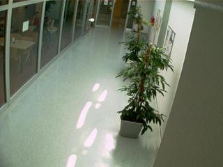 Tomas Bata University (Webcam Offline)