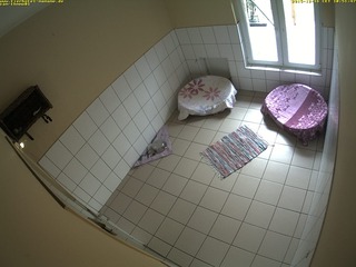 Animal Hotel MAMA MO