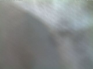 Cow Barn - Automated Milking System