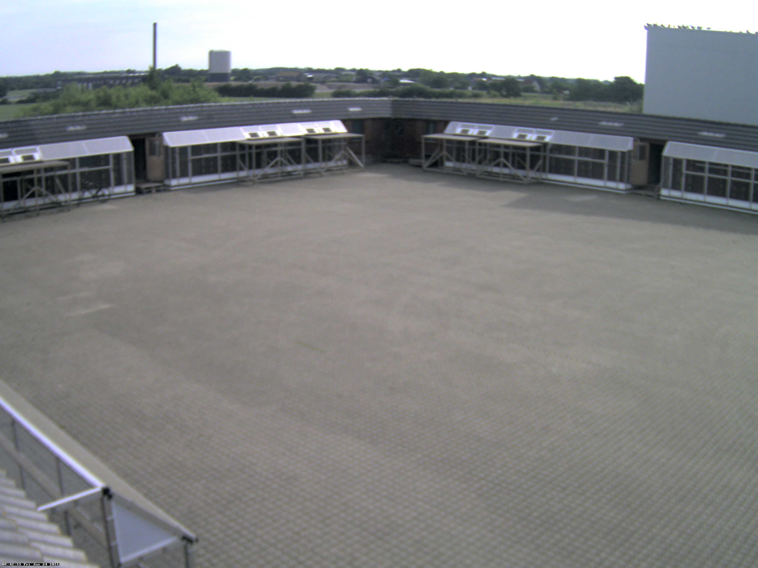 Danish Pigeon Race