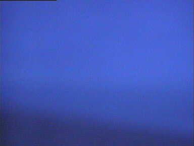Beach Cam