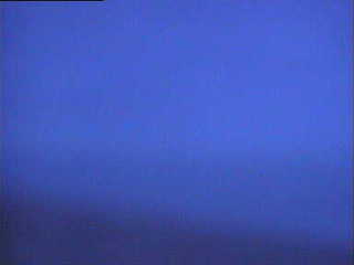 Beach Cam