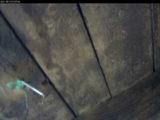 Auberge du Schantzwasen