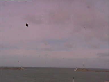 Port Le Havre
