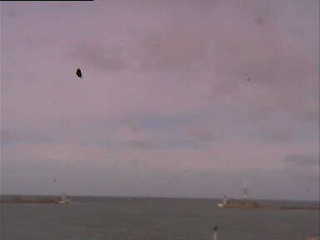 Port Le Havre